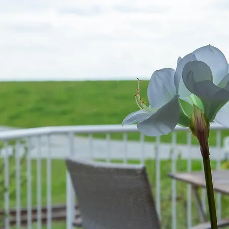 Apartamento Lagune Am Wattenmeer Deichkieker *